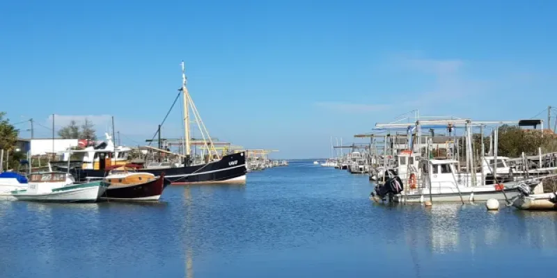 Profitez du Pack VTC Classique + Siège BB pour visiter les Ports de Gujan-Mestras dans la journée