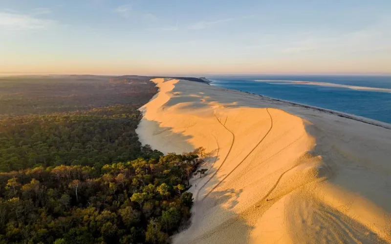 DUNE DU PYLA