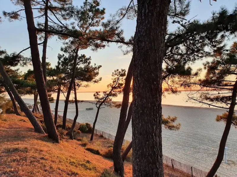 les plus beaux itinéraires à vélos à Arcachon 