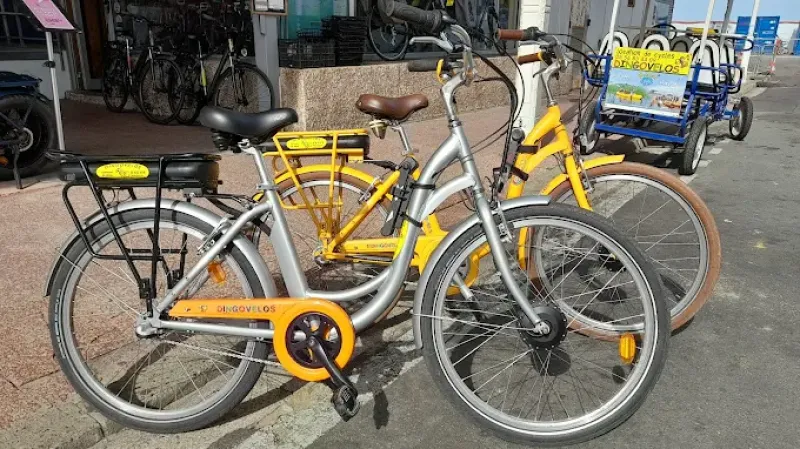 où louer un Vélo à Assistance Électrique en famille à Arcachon