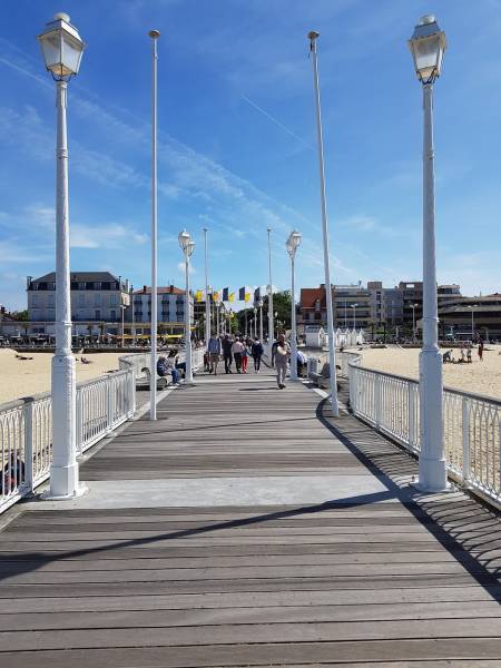LES PLUS BEAUX PAYSAGES DU BASSIN D’ARCACHON À VÉLO ! Dingo Vélos