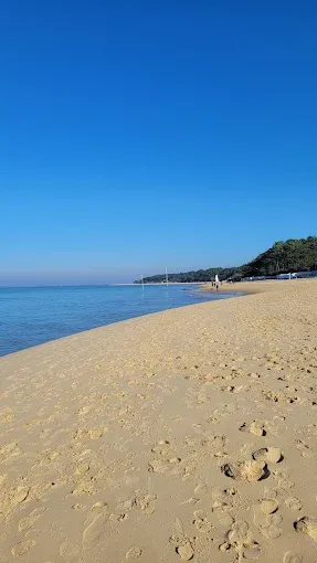 Nos prestations sur le secteur de Le Moulleau près de la Teste-de-Buch