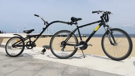 Nos prestations sur le secteur de Pereire à Arcachon (33120), Gironde